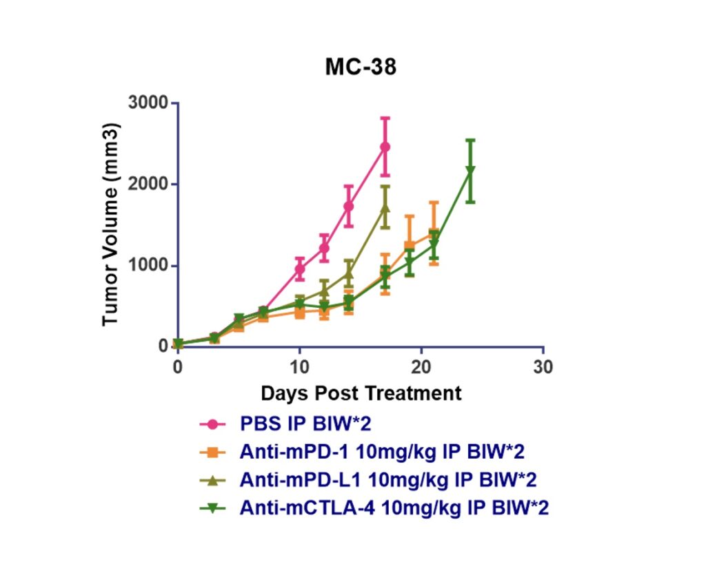 结肠癌中的检查点抗体活性.jpeg 结肠癌中的检查点抗体活性.jpeg