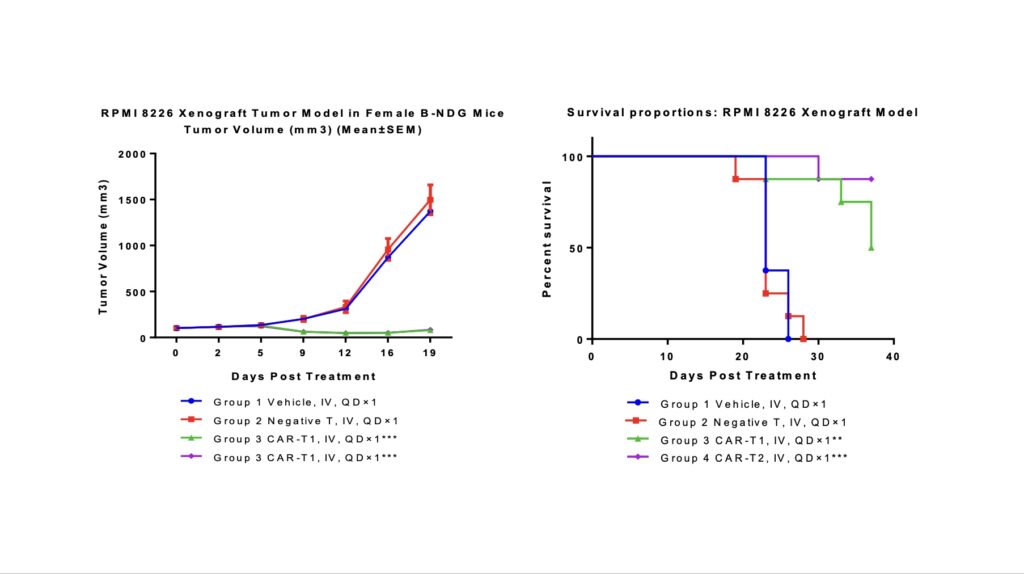 多发性骨髓瘤异种移植中的CAR-T治疗.jpeg 多发性骨髓瘤异种移植中的CAR-T治疗.jpeg