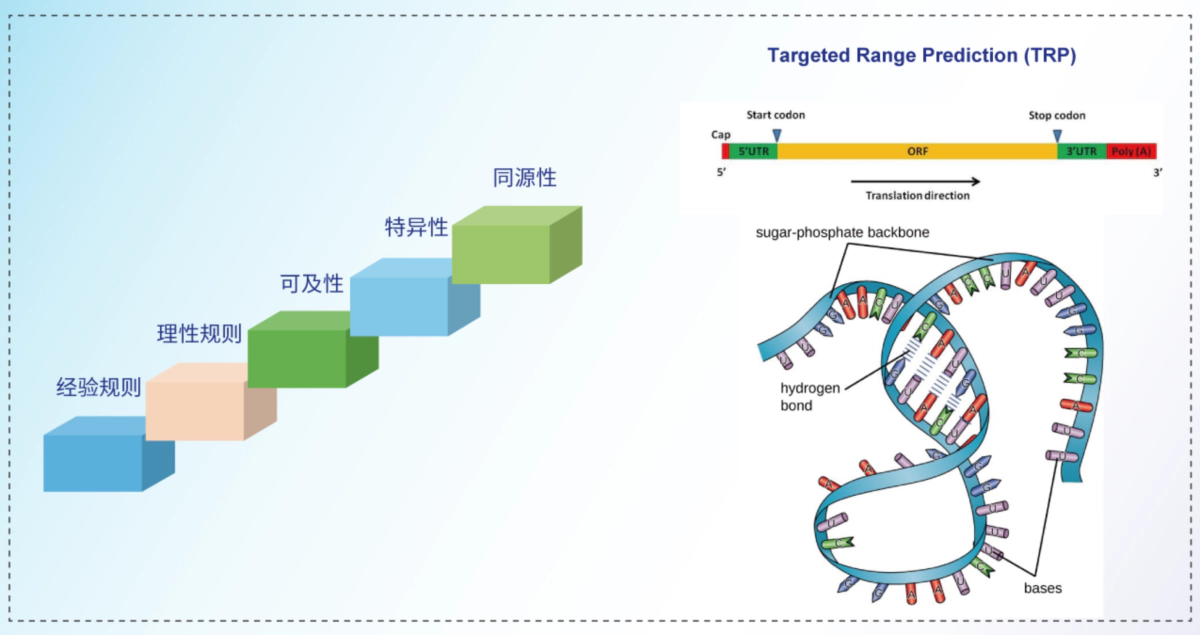 优化设计平台 (MOD).webp 优化设计平台 (MOD).webp