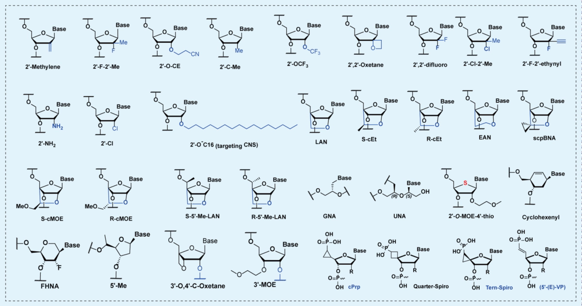 80+核苷酸修饰.webp 80+核苷酸修饰.webp