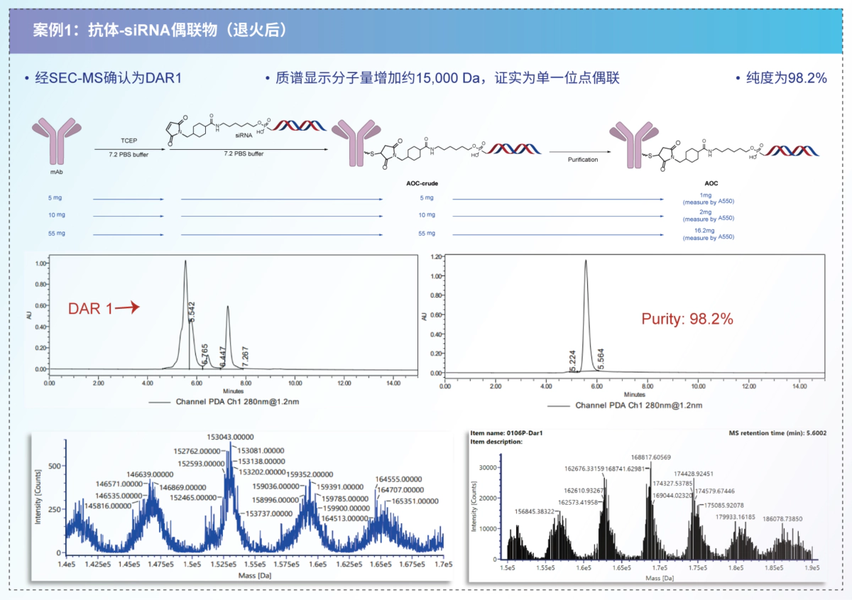 案例1 抗体-siRNA偶联物(退火后).webp