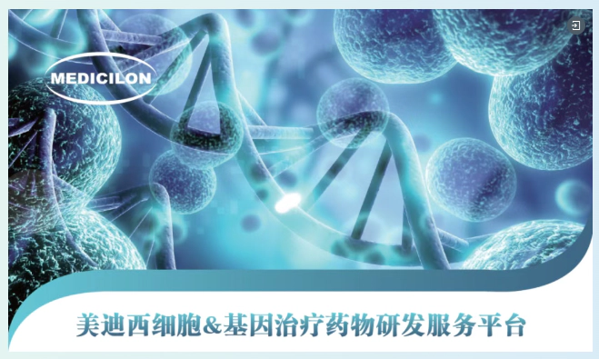 美迪西细胞&基因治疗药物研发服务平台.webp