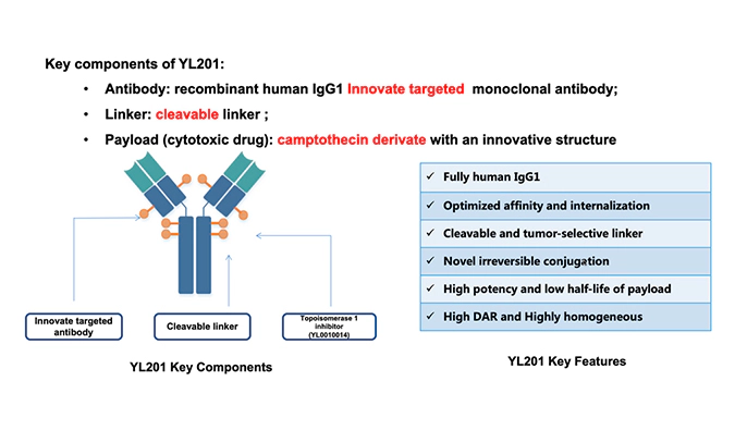 助力创新药物出海+1！美迪西祝贺宜联生物B7H3 ADC授权罗氏