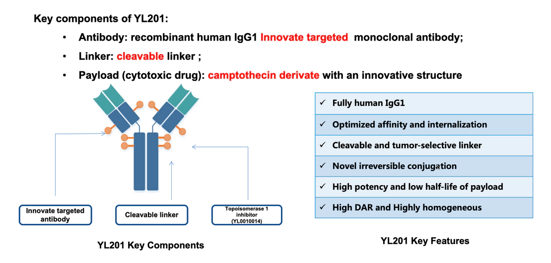 YL201的关键组成结构特异性结合.webp