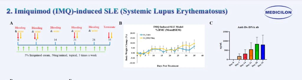2 咪喹莫特 (IMQ) 诱发的 SLE（系统性红斑狼疮）-1.webp