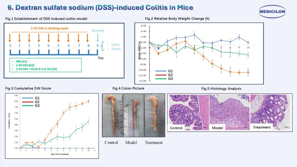 6 葡聚糖硫酸钠（DSS）诱导的小鼠结肠炎.webp