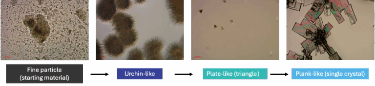 晶体形式.png 晶体形式.png