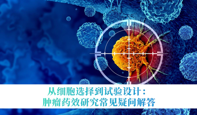 从细胞选择到试验设计：肿瘤药效研究常见疑问解答