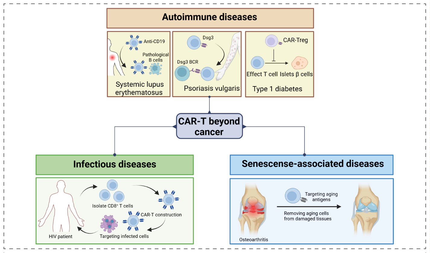 CAR-T细胞用于治疗非癌性疾病.webp