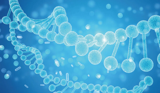 CGT药物研发服务平台.webp CGT药物研发服务平台.webp