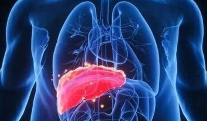 MASH新药研发迎新进展！美迪西助力新通药物1类创新药XTYW007片获批临床