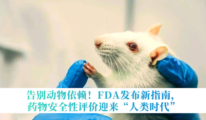 告别动物依赖!FDA发布新指南,药物安全性评价迎来“人类时代”