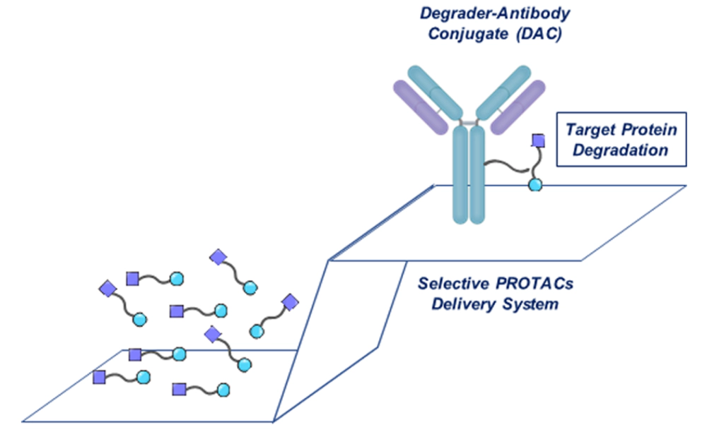 PROTACs Delivery System.webp