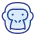 动物模型.webp