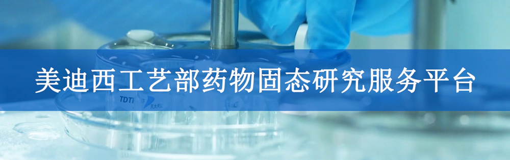 美迪西工艺部固态研究服务平台.webp