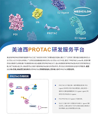 PROTAC药物发现研究平台