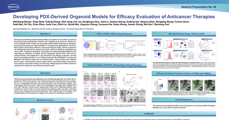 Developing PDX-Derived Organoid Models for Efficacy Evaluation of Anticancer Therapies