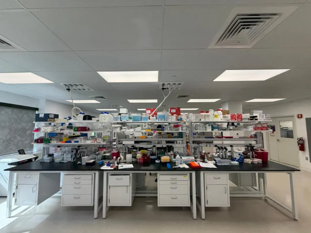 Medicilon Boston Research Center’s Laboratories.webp