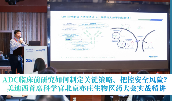 ADC临床前研究如何制定关键策略、把控安全风险？｜美迪西首席科学官北京亦庄生物医药大会实战精讲