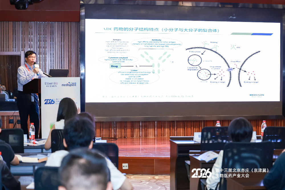 ADC药物的分子结构特点(小分子与大分子的复合体).webp