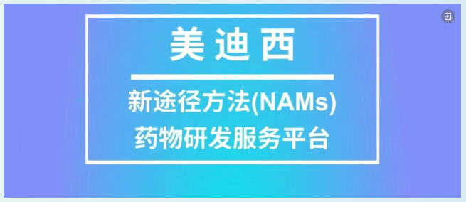 美迪西NAMS药物研发服务平台.webp 美迪西NAMS药物研发服务平台.webp