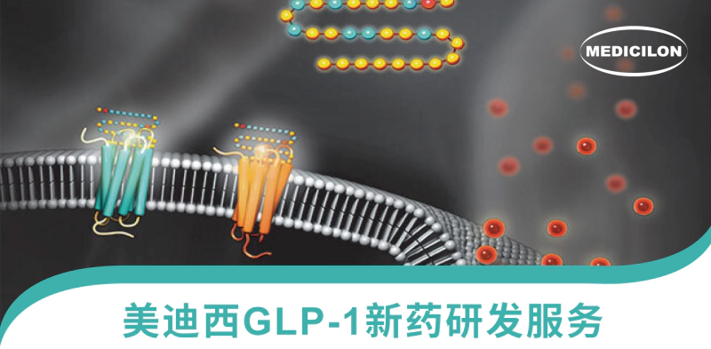 美迪西GLP-1新药研发服务.webp