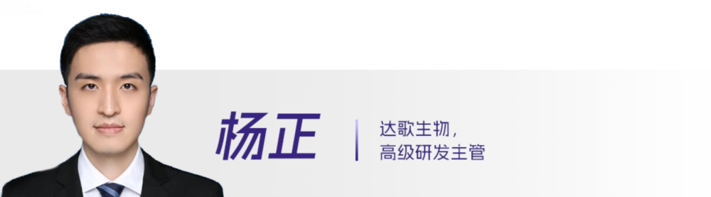 23 杨正.webp 23 杨正.webp
