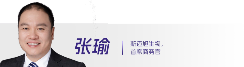 25 张瑜.webp 25 张瑜.webp
