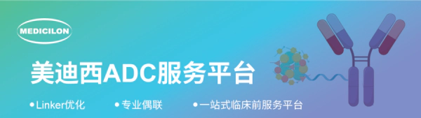 美迪西ADC服务平台.webp